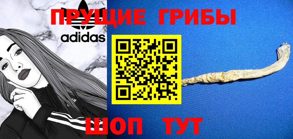 Псилоцибиновые грибы GOLDEN TEACHER  Галлюциногенные грибы Magic Shrooms  Вход с VPN  Курганинск 