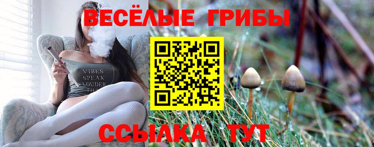 Галлюциногенные грибы прущие грибы Курганинск